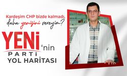 Yeni Parti'nin yol haritası