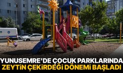 Yunusemre'de çocuk parklarında zeytin çekirdeği dönemi başladı