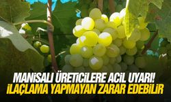 Manisalı üreticilere acil uyarı! İlaçlama yapmayan zarar edebilir