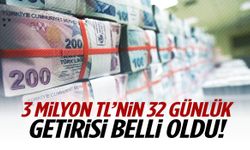 3 milyon TL’nin 32 günlük kazancı dudak uçuklattı!