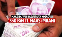 350 bin TL maaşla personel alınacak!