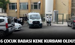 6 çocuk babası kene kurbanı oldu!