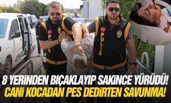 8 yerinden bıçaklayıp sakince yürüdü! Cani kocadan pes dedirten savunma!