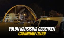 Yolun karşısına geçerken canından oldu!