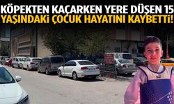 Köpekten kaçarken yere düşen 15 yaşındaki çocuk hayatını kaybetti!