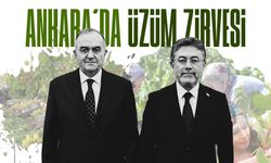 Ankara'da üzüm zirvesi! MHP'li Akçay Bakan Yumaklı ile buluştu