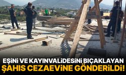 Eşini ve kayınvalidesini bıçaklayan şahıs cezaevine gönderildi!