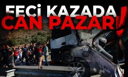 Aydın-Muğla kara yolunda can pazarı