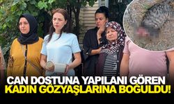 Can dostuna yapılanı gören kadın gözyaşlarına boğuldu!