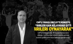 CHP'li Yavaşlı: Bir kısmı kan ağlayarak gitti, bir kısmı oynayarak