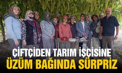 Çiftçiden işçisine üzüm bağında sürpriz