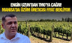 Engin Uzun’dan TMO’ya çağrı! Manisa’da üzüm üreticisi fiyat bekliyor