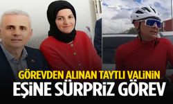 Görevden alınan taytlı valinin eşine sürpriz görev
