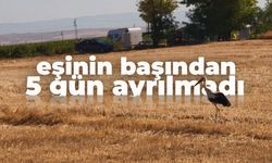Günün duygulandıran haberi... Eşinin başından 5 gün boyunca ayrılmadı