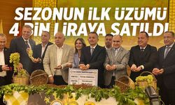 Manisa'da sezonun ilk üzümü 4 bin TL'den satıldı