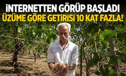 İnternetten görüp başladı! Üzüme göre getirisi 10 kat fazla...