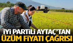 İYİ Partili Aytaç’tan üzüm fiyatı çağrısı
