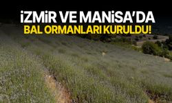 İzmir ve Manisa’da bal ormanları kuruldu!