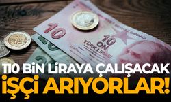 110 bin liraya çalışacak işçi arıyorlar!