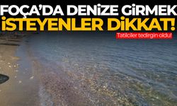 Foça’da denize girmek isteyenler dikkat! Tatilciler tedirgin oldu…