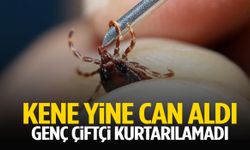Kabus devam ediyor… Kene yine can aldı!