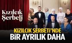 Kızılcık Şerbeti’nde bir ayrılık daha!