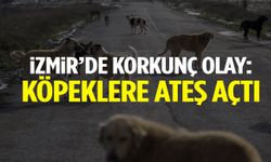 İzmir’de korkunç olay: Köpeklere ateş açtı!