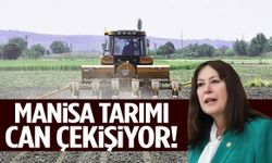İYİ Partili Sunat: “Manisa tarımı can çekişiyor!”