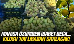 Manisa üzümden ibaret değil... Kilosu 100 liradan satılacak!