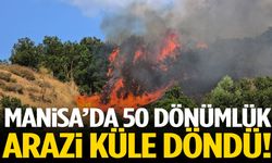 Manisa’da 50 dönümlük arazi küle döndü!