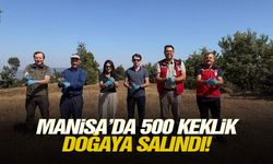 Manisa’da 500 keklik doğaya salındı!