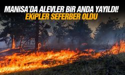 Manisa’da alevler bir anda yayıldı! Ekipler seferber oldu