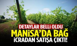 Manisa’da bağ satışa çıktı!