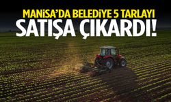 Manisa’da belediye 302 milyon liralık 5 tarlayı satışa çıkardı!