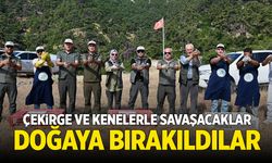 Manisa’da doğaya salındılar… Çekirge ve kenelerle savaşacaklar!