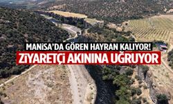 Manisa’da gören hayran kalıyor! Ziyaretçi akınına uğruyor…