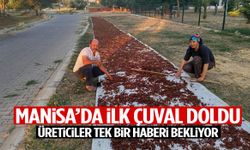 Manisa’da ilk çuval doldu! Üreticiler tek bir haberi bekliyor