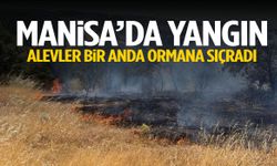 Manisa’da korkutan anlar! Alevler bir anda ormana sıçradı