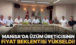 Manisa’da üzüm üreticisinin fiyat beklentisi yükseldi!