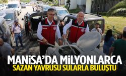 Manisa’da milyonlarca sazan yavrusu sularla buluştu