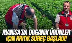 Manisa'da organik ürünler için kritik süreç başladı!
