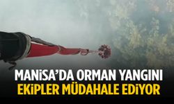Manisa’da orman yangını! Ekipler müdahale ediyor
