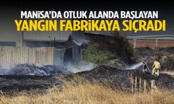 Manisa’da otluk alanda başlayan yangın fabrikaya sıçradı! Hastanelik oldular…