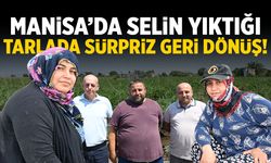 Manisa'da selin yıktığı tarlada sürpriz dönüş!