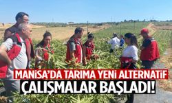 Manisa’da tarıma yeni alternatif! Çalışmalar başladı