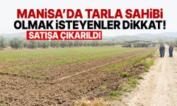 Manisa’da tarla sahibi olmak isteyenler dikkat! Satışa çıkarıldı