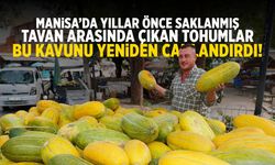 Manisa'da tavan arasından çıkan tohumlar yeniden canlandı