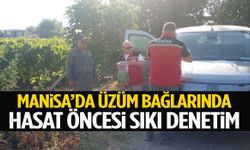 Manisa’da üzüm bağlarında hasat öncesi sıkı denetim