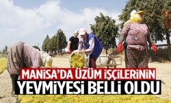 Manisa’da üzüm işçilerinin yevmiyesi belli oldu