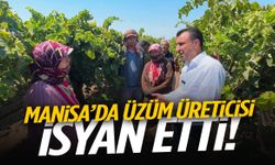 Manisa’da üzüm üreticisi isyan etti: Babam 7 çocuğa baktı, biz 2 çocuğa bakamıyoruz